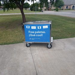 Fort Worth Ice Cream Carts 4